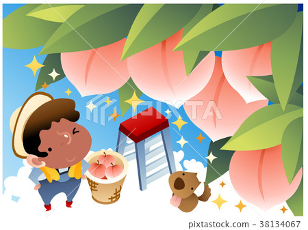 man, fruit, peach 38134067