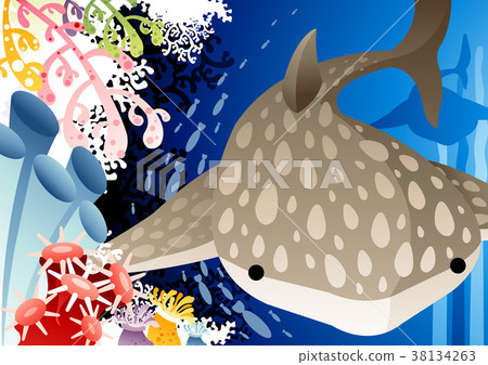 Sea, zoological, a creature 38134263