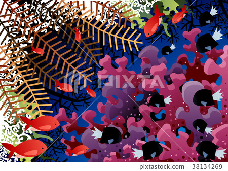 Sea, zoological, a creature 38134269