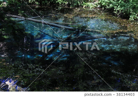 God's Pond 38134403