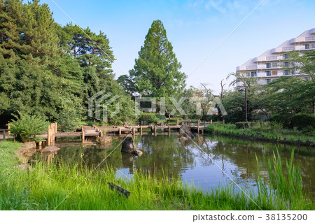 Nakano Ward Philosophy Hall Park Tsujiike Nakano Ward Philosophy Hall Park Tsujiike 38135200