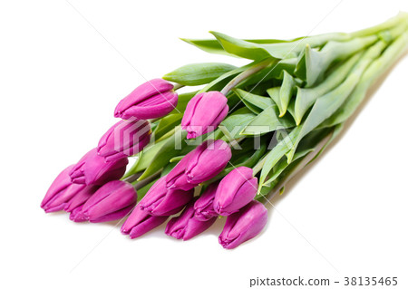 Bouquet of violet tulips Bouquet of violet tulips 38135465
