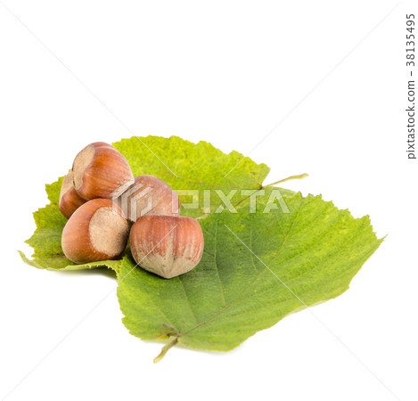 Whole tasty hazelnuts with leaves 38135495