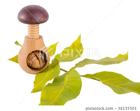 Whole walnuts and wooden screw nutcracker  38135501