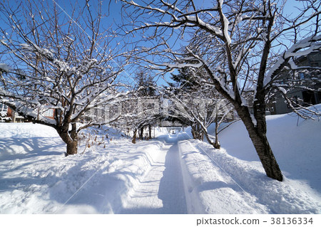 Sapporo Shiroishi Cycling Road (near Shiroishi Kokoro Nango Dori 10th Street) Sapporo Shiroishi Cycling Road (near Shiroishi Kokoro Nango Dori 10th Street) 38136334