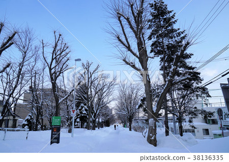 Sapporo Shiroishi Cycling Road (Near Shiroishi Kokoro Nangotsu 14th Street) Sapporo Shiroishi Cycling Road (Near Shiroishi Kokoro Nangotsu 14th Street) 38136335