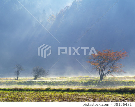 深秋的農村地區 深秋的農村地區 38136481