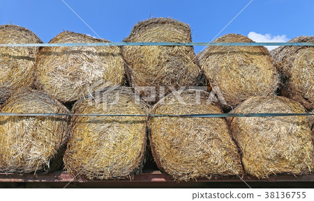 Round Hay Bales Round Hay Bales 38136755
