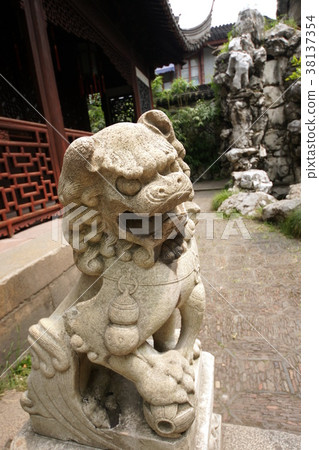 上海祗園柴犬 38137354