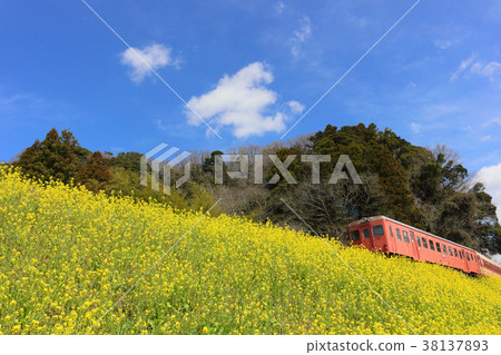 Isumi鐵路 38137893