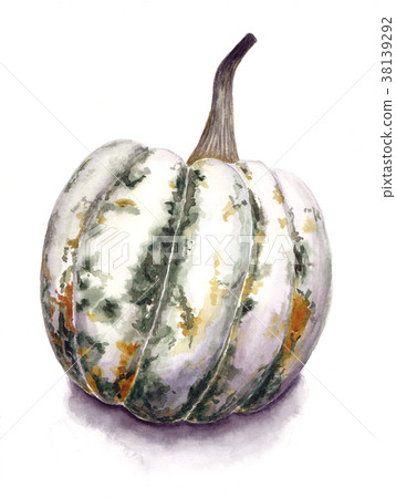 Green pumpkin isolated on white background. - Stock Illustration ...