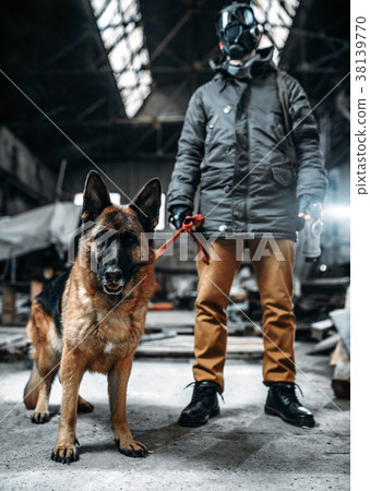 Stalker in gas mask and dog in radioactive zone 38139770