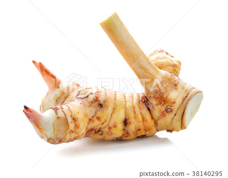 galangal isolated on white background 38140295