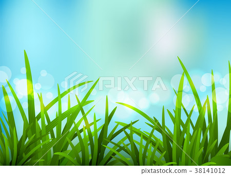 Nature spring background. Vector illustration. Nature spring background. Vector illustration. 38141012