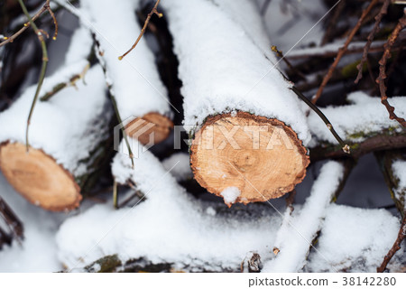 Firewood in woods covered with snow. In winter 38142280