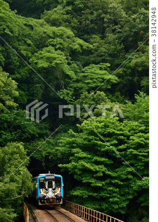 Sie線Kagurago到綠色隧道 Sie線Kagurago到綠色隧道 38142948