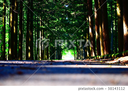 The future ahead The future ahead 38143112