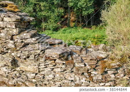 Old abandoned stone wall and fern Old abandoned stone wall and fern 38144844