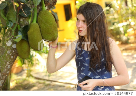 teenager girl with whole jackfruit on the tree teenager girl with whole jackfruit on the tree 38144977