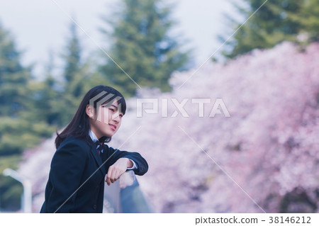  Junior high school student and cherry blossom 38146212