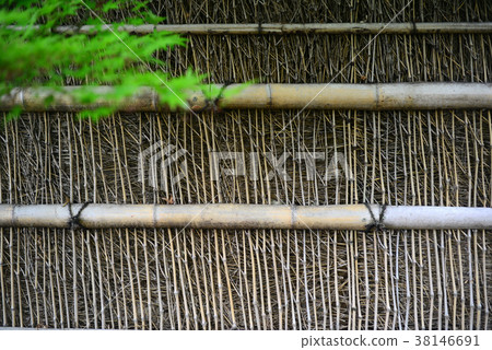 Bamboo fence Bamboo fence 38146691