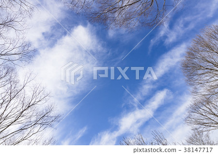 冬天天空框架 冬天天空框架 38147717