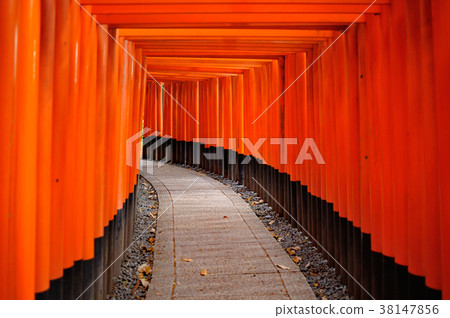 Senbon Torii of Fushimi Inari Taisha Shrine 38147856