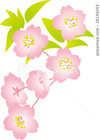 Cherry blossom pink blur Cherry blossom pink blur 38148203