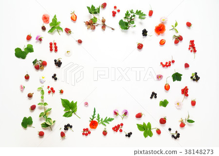 summer concept summer concept 38148273