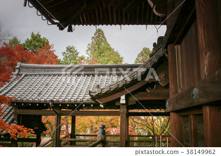 the Shinsho gokuraku ji at kyoto fall 38149962