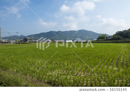 加藤市景觀(兵庫縣加藤市) 加藤市景觀(兵庫縣加藤市) 38150145