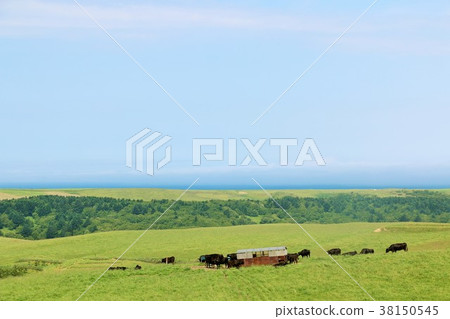 Land of Hokkaido Soya hill 38150545