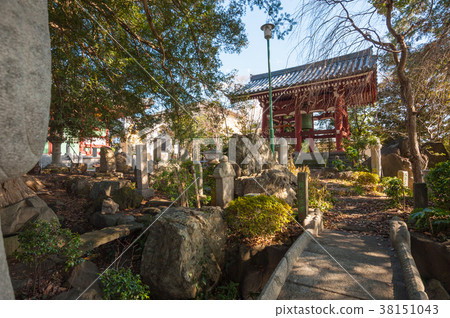 Tokyo Setagaya walk, Setagaya-ku Noge 2-chome, Zenyouji precinct scenery Tokyo Setagaya walk, Setagaya-ku Noge 2-chome, Zenyouji precinct scenery 38151043