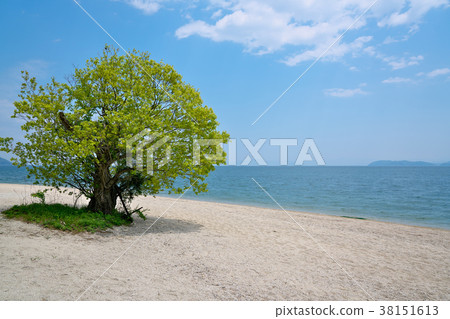 Lake Biwa of Mayu Sun Lake Biwa of Mayu Sun 38151613