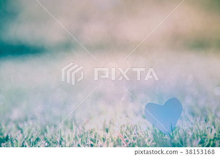 Grass Background with heart 38153168