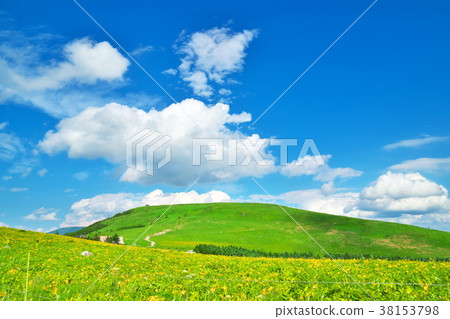 Nikkisue Kirigamine plateau 38153798