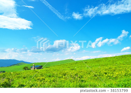 Nikkisue Kirigamine plateau 38153799