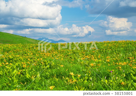 Nikkisue Kirigamine plateau 38153801
