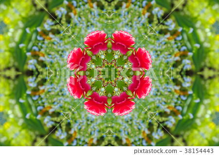 abstract background of floral pattern kaleidoscope 38154443