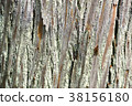 Wood surface 38156180