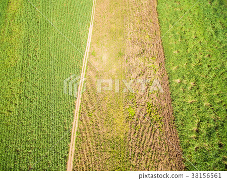 Aerial Views of Fields and Agricultural Parcel Aerial Views of Fields and Agricultural Parcel 38156561