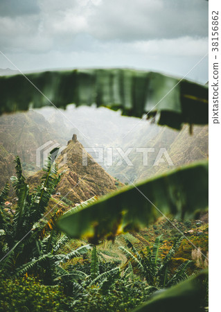 Mountain peak of Xo-xo valley visible throught the Mountain peak of Xo-xo valley visible throught the 38156862
