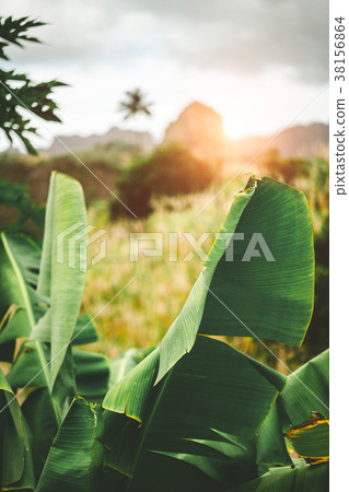 Hipnotising sunset behind mountain range Hipnotising sunset behind mountain range 38156864