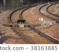 Cat crossing the level crossing 38163885