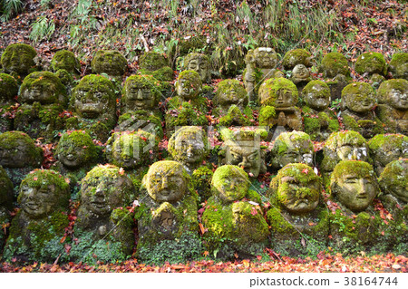 Autumn at Kyoto Atago Nembutsu Temple 38164744