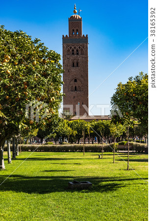 Orange trees in Koutoubia Mosque Marrakesh,Morocco 38165392