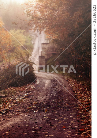 Park valley in autumn in the fog, Shallow DOF Park valley in autumn in the fog, Shallow DOF 38166622