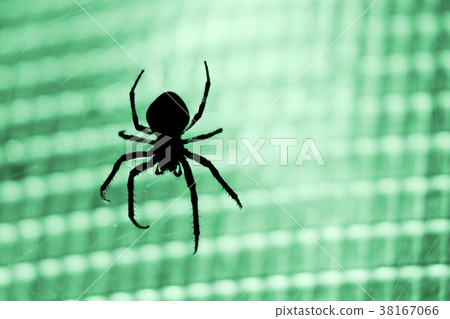Spider 38167066