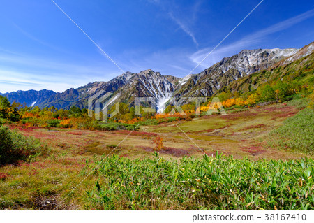 Tsugaike高原 38167410