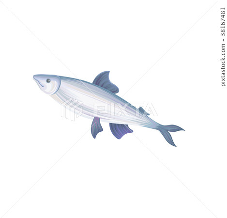 Flat vector icon of tuna fish with blue fins Flat vector icon of tuna fish with blue fins 38167481